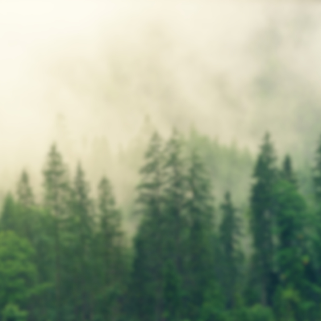 室內香氛 - 居家香氛 - 房間香氛 - 空間香氛 - 居家香精  - nardeart聯名活動｜拍貼送淡香精！